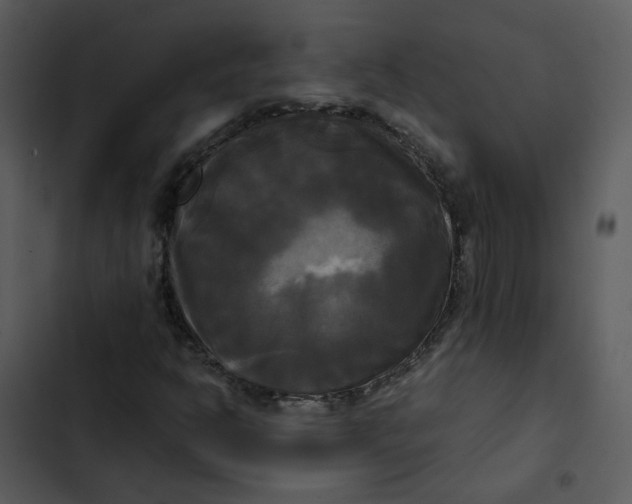 X0000102841302200809081210