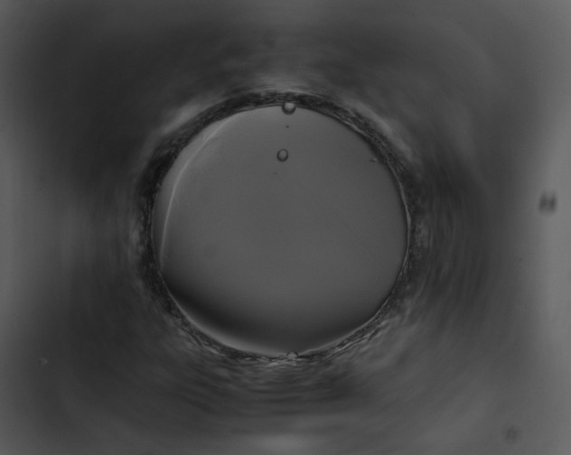 X0000102841303200809081210