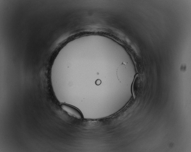 X0000102841304200809081210