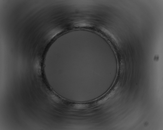 X0000102841305200809081210