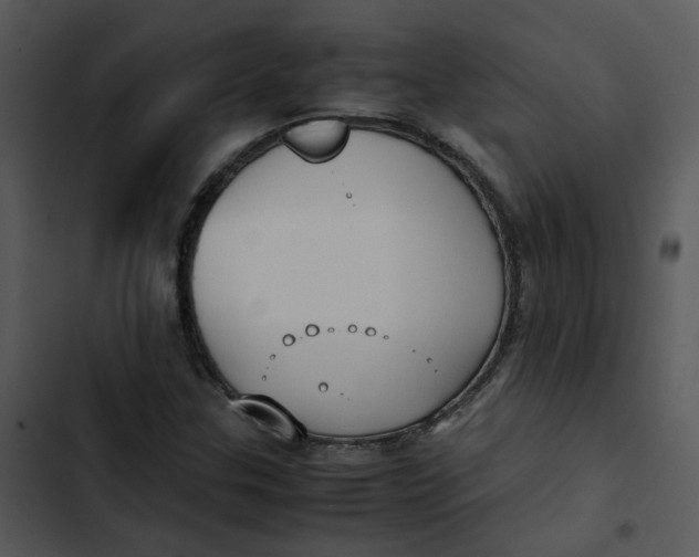 X0000102841307200809081210