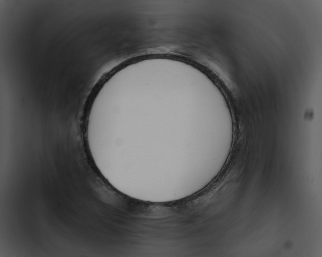 X0000102841308200809081210