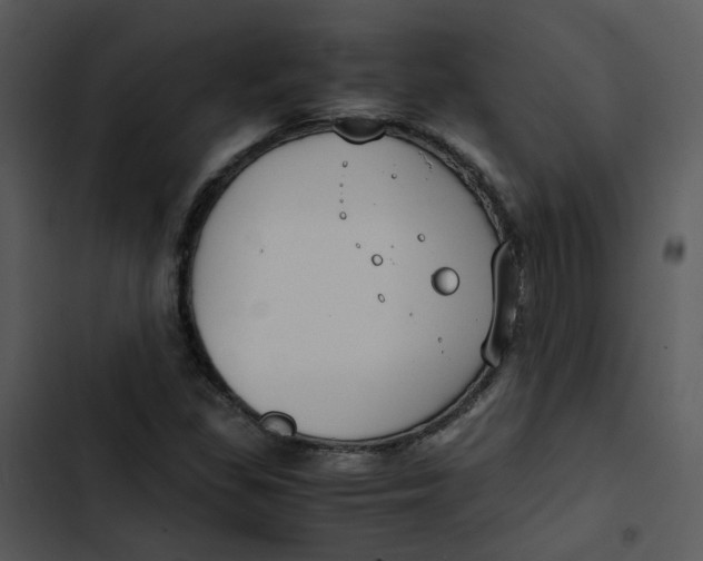 X0000102841309200809081210