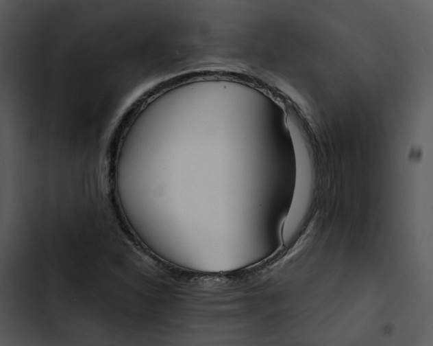 X0000102841310200809081210