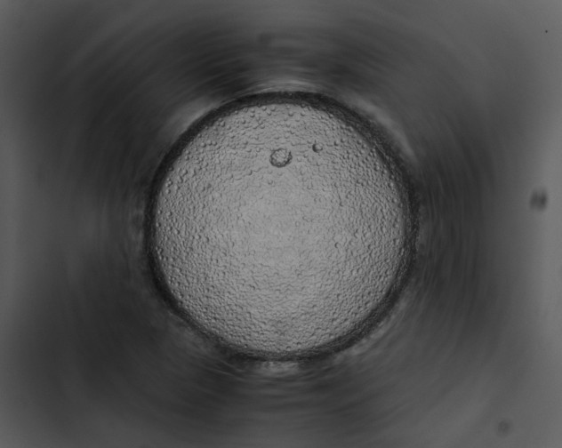 X0000102841313200809081210