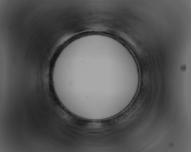 X0000102841315200809081210