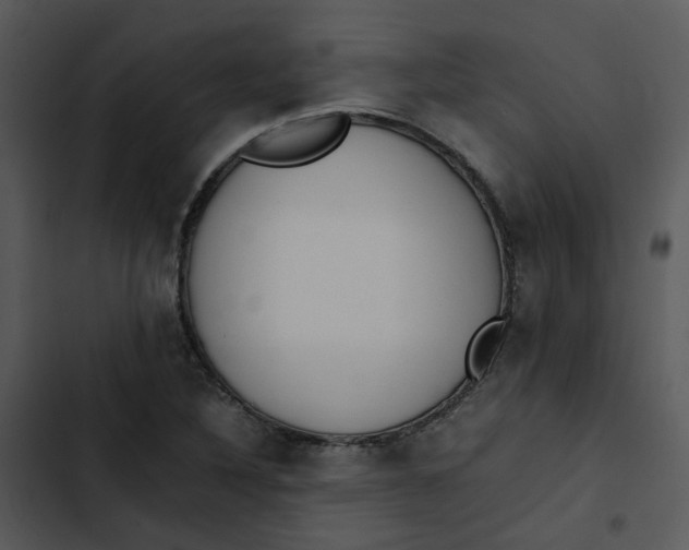 X0000102841316200809081210