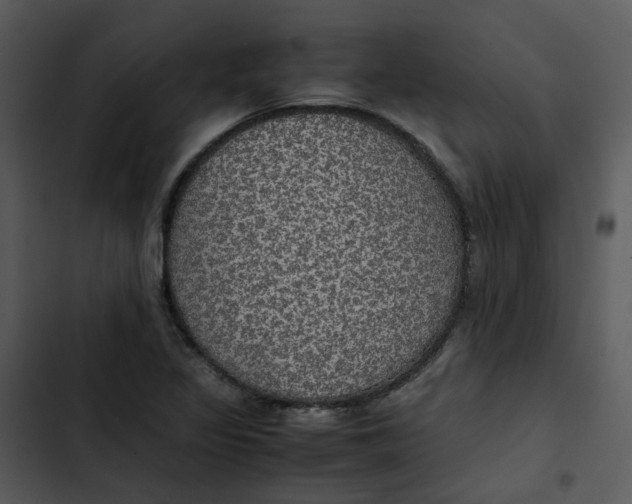 X0000102841317200809081210