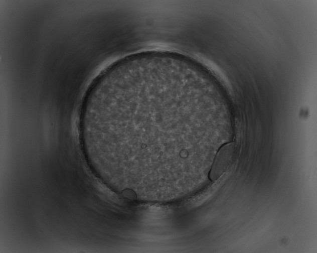 X0000102841318200809081210