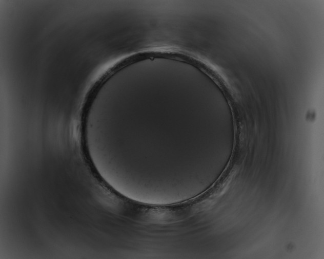 X0000102841319200809081210