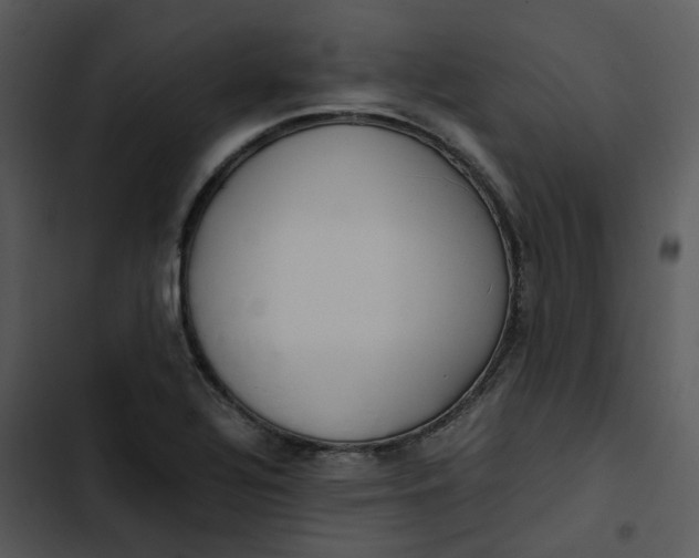 X0000102841320200809081210