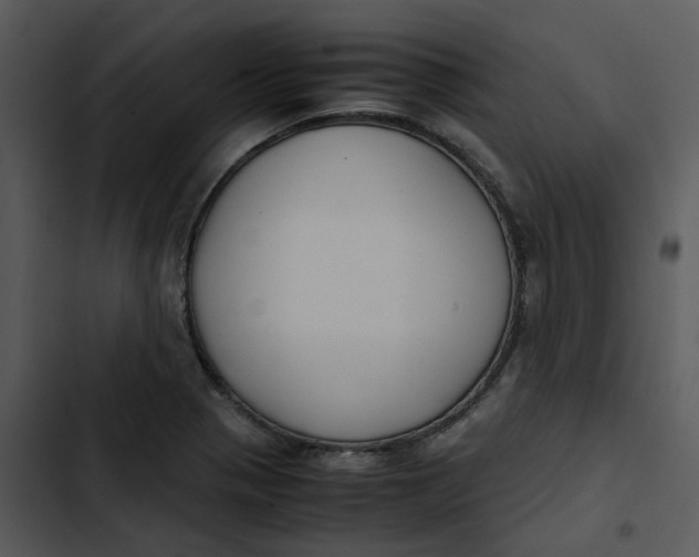 X0000102841321200809081210