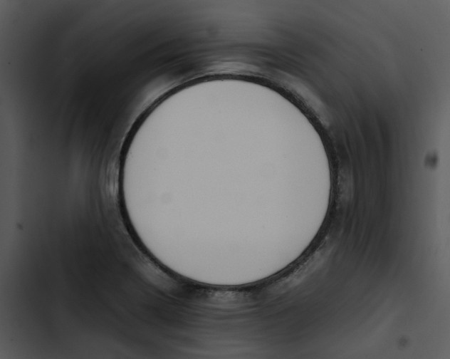 X0000102841322200809081210