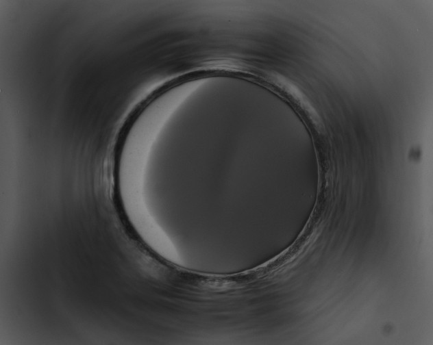 X0000102841323200809081210