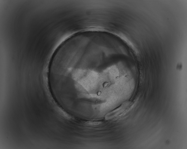 X0000102841325200809081210