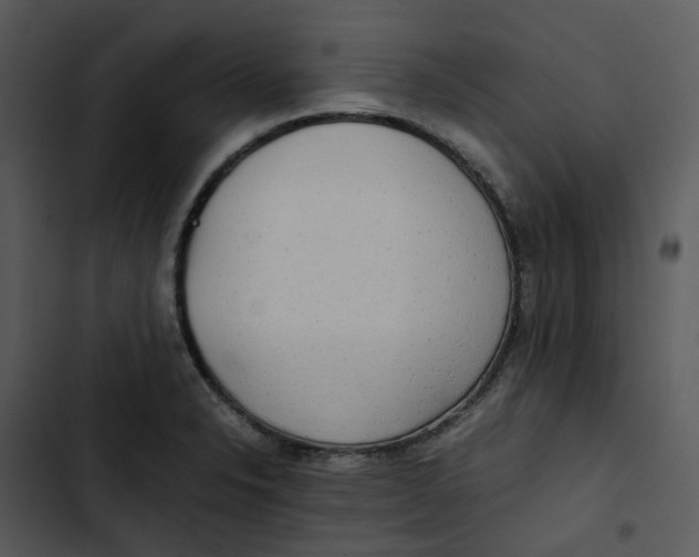 X0000102841326200809081210