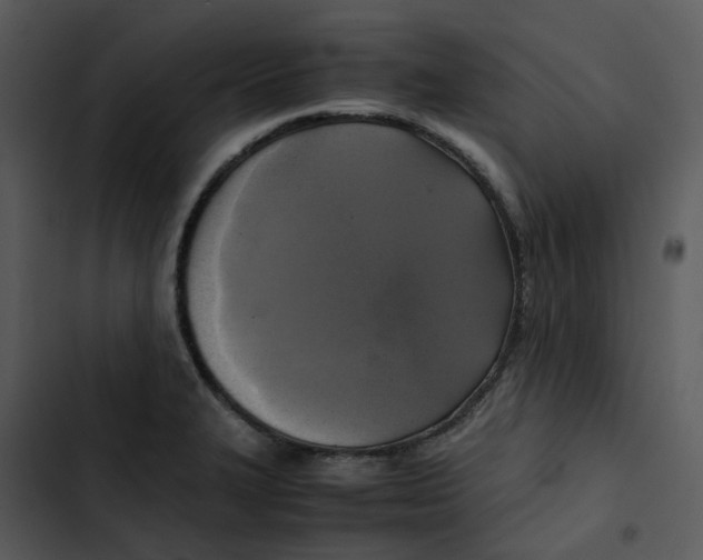 X0000102841327200809081210