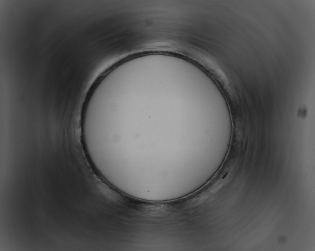 X0000102841328200809081210