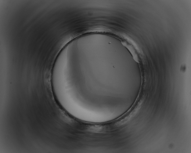 X0000102841329200809081210