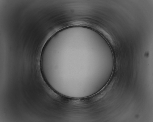 X0000102841330200809081210