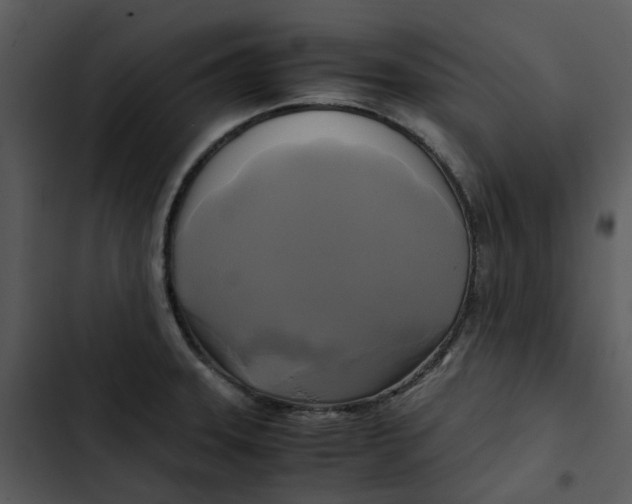 X0000102841331200809081210