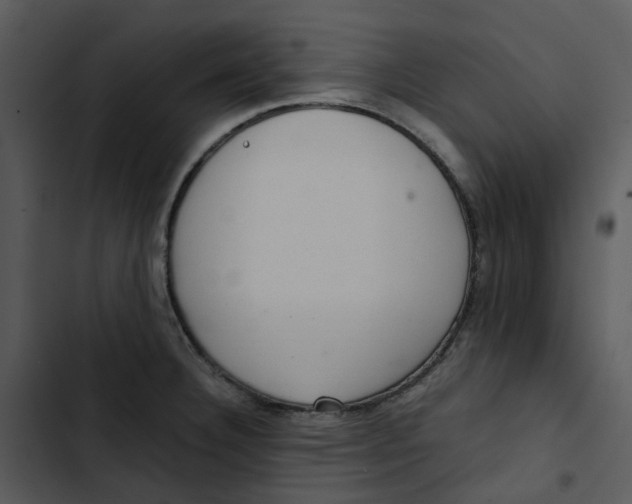 X0000102841332200809081210