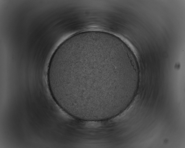 X0000102841333200809081210