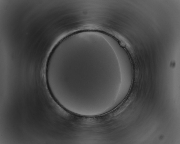 X0000102841334200809081210