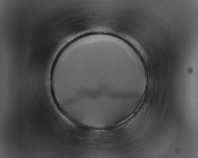 X0000102841335200809081210