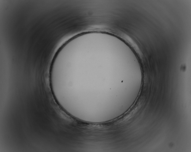 X0000102841336200809081210