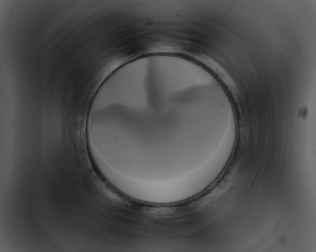 X0000102841337200809081210