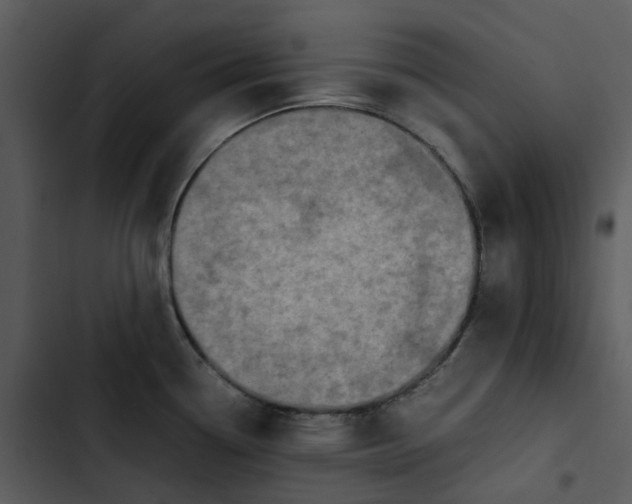 X0000102841338200809081210