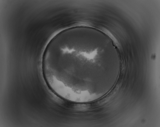 X0000102841339200809081210