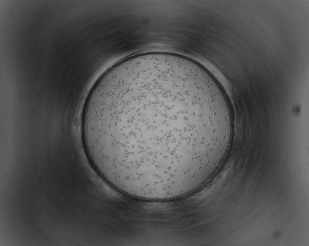 X0000102841341200809081210