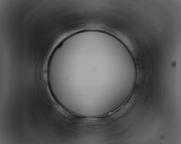 X0000102841342200809081210