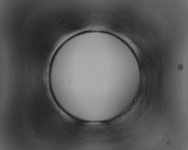 X0000102841343200809081210