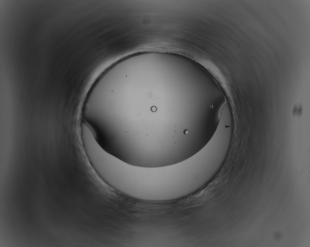 X0000102841344200809081210