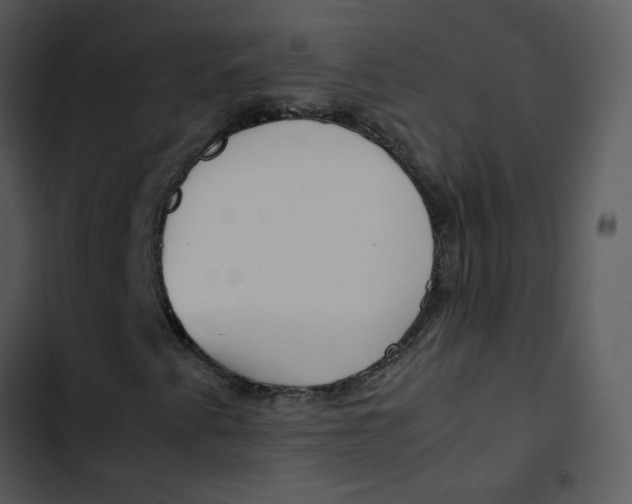 X0000102841345200809081210