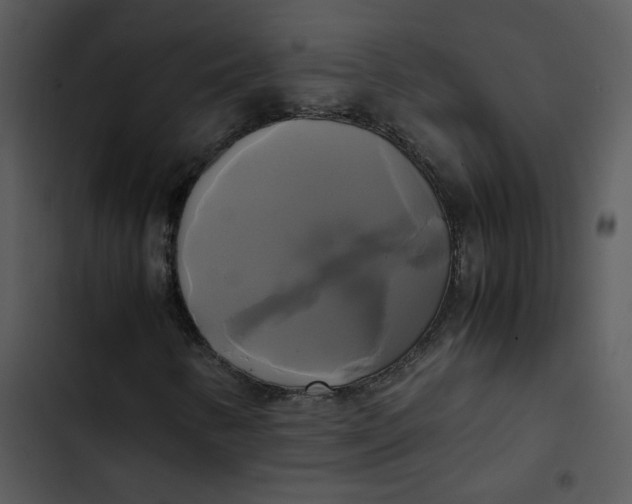 X0000102841346200809081210