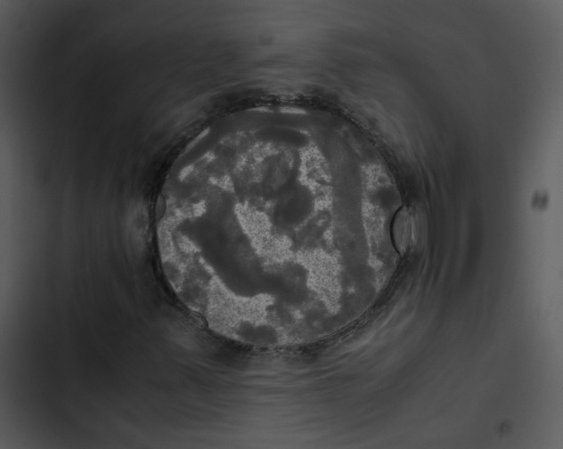 X0000102841347200809081210