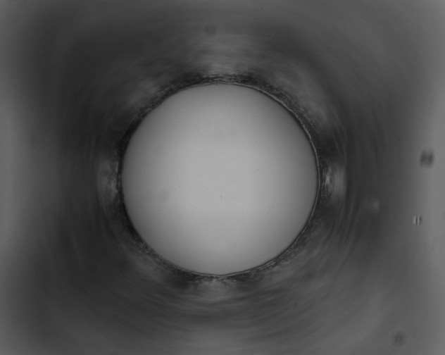 X0000102841348200809081209