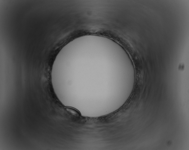 X0000102841349200809081209