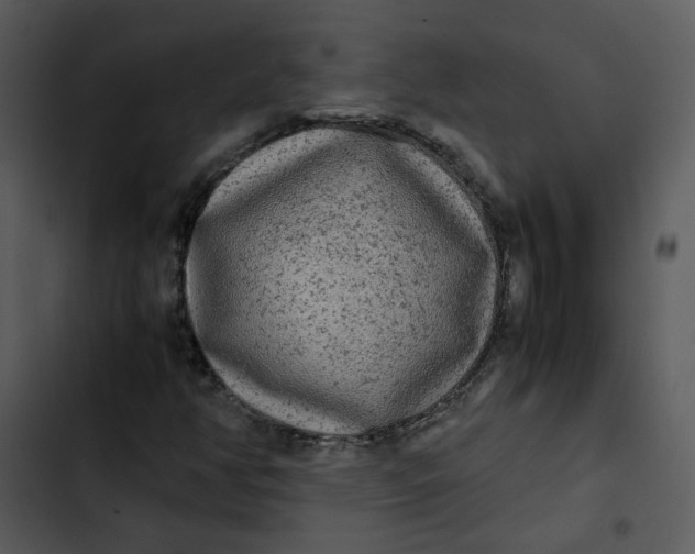 X0000102841350200809081209