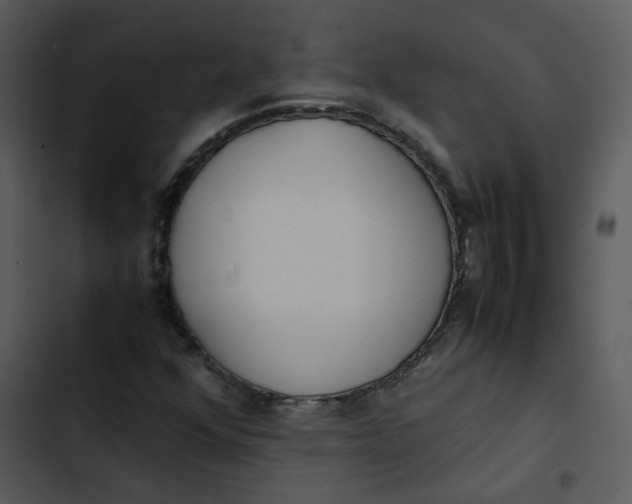 X0000102841352200809081209