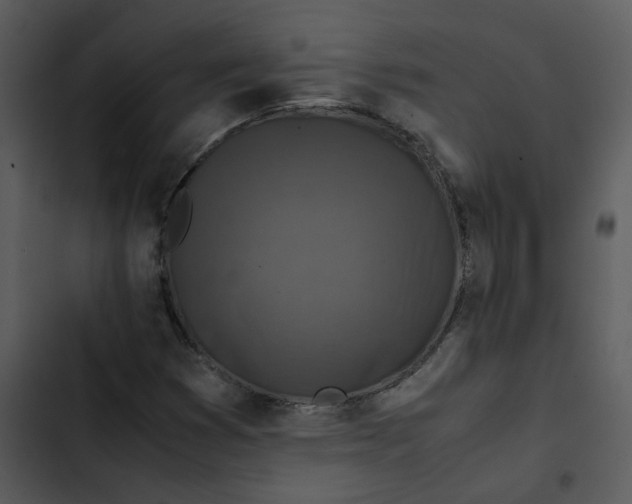 X0000102841353200809081209