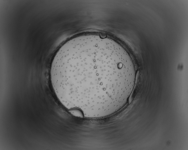 X0000102841355200809081209