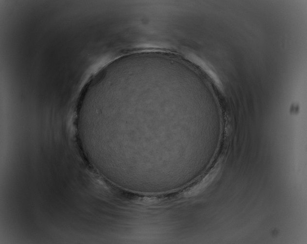 X0000102841357200809081209