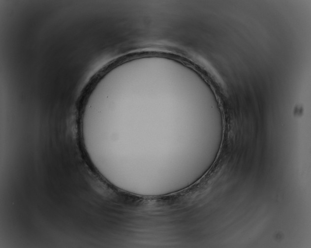 X0000102841360200809081209