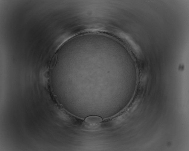 X0000102841361200809081209