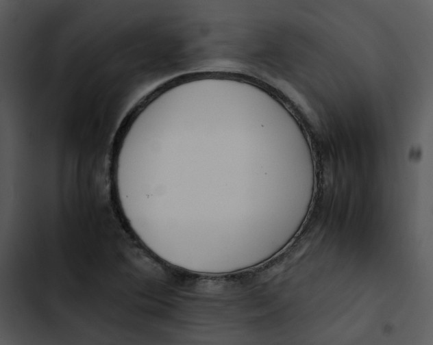 X0000102841364200809081209